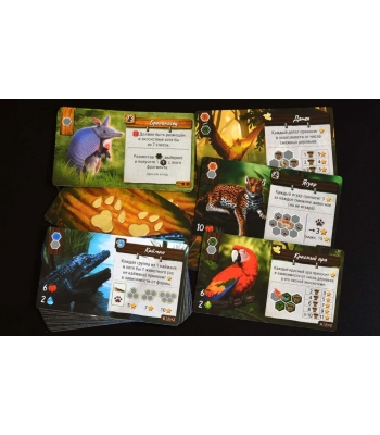 Дикая природа Амазонии