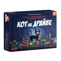 Кот на драйве