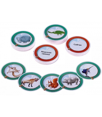 Найди меня! Животные мира