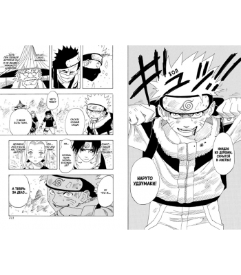Naruto. Наруто. Книга 1