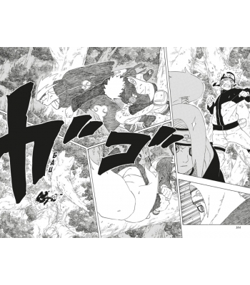 Naruto. Наруто. Книга 11