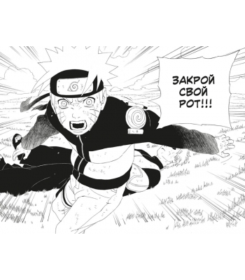 Naruto. Наруто. Книга 11