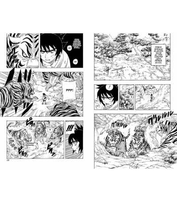 Naruto. Наруто. Книга 3