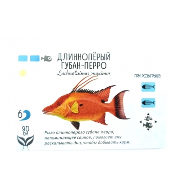 Плавники