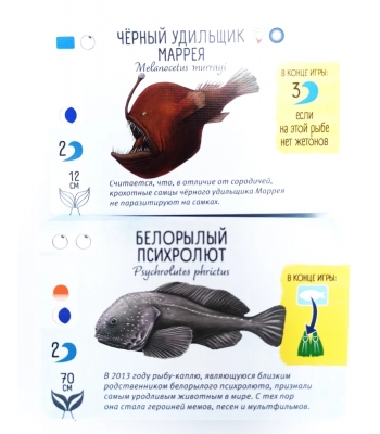 Плавники