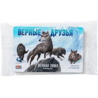 Вечная зима. Верные друзья