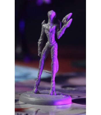 Звёзды Акариоса